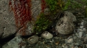 the100_102_1644.jpg