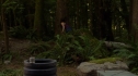 the100_102_1801.jpg