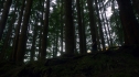 the100_102_1824.jpg