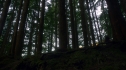 the100_102_1826.jpg