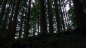 the100_102_1827.jpg