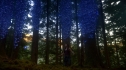the100_102_1843.jpg