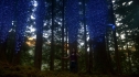 the100_102_1845.jpg