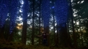 the100_102_1846.jpg