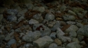 the100_102_1962.jpg