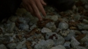 the100_102_1964.jpg