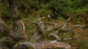 the100_102_2000.jpg