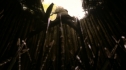 the100_102_2005.jpg