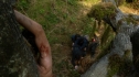 the100_102_2013.jpg
