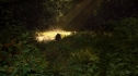 the100_102_2312.jpg