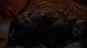 the100_102_2565.jpg