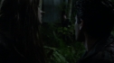 the100_102_2709.jpg