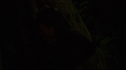 the100_102_2750.jpg