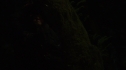 the100_102_2752.jpg