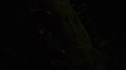 the100_102_2753.jpg