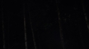 the100_105_0389.jpg