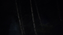 the100_105_0390.jpg