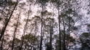 the100_105_0619.jpg