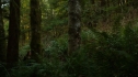 the100_105_0801.jpg