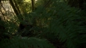 the100_105_0808.jpg