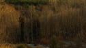 the100_105_0812.jpg