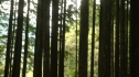 the100_105_0821.jpg