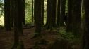the100_105_0822.jpg