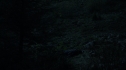 the100_105_1419.jpg