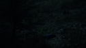 the100_105_1420.jpg
