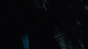 the100_106_0343.jpg