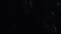 the100_106_0344.jpg