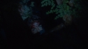the100_106_0350.jpg