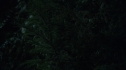 the100_106_0365.jpg