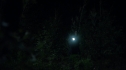 the100_106_0368.jpg