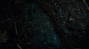 the100_106_0414.jpg