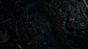the100_106_0415.jpg