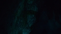 the100_106_0430.jpg