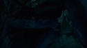the100_106_0443.jpg