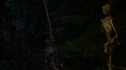 the100_106_0461.jpg