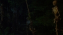 the100_106_0463.jpg