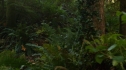 the100_106_0628.jpg