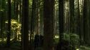 the100_106_0645.jpg