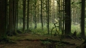 the100_106_0676.jpg