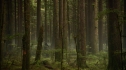 the100_106_0677.jpg