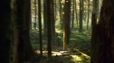 the100_106_0679.jpg