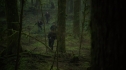the100_106_0738.jpg