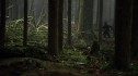 the100_106_0747.jpg