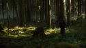 the100_106_0766.jpg