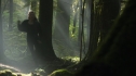 the100_106_0773.jpg