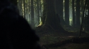 the100_106_0780.jpg